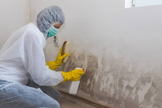 Best Residential Mold Removal  in Sheridan, OR