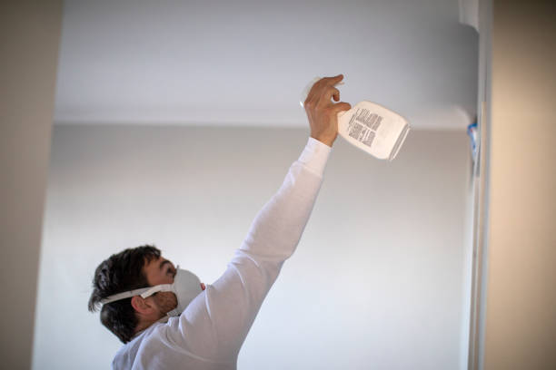Best Mold Removal Company Near Me  in Sheridan, OR