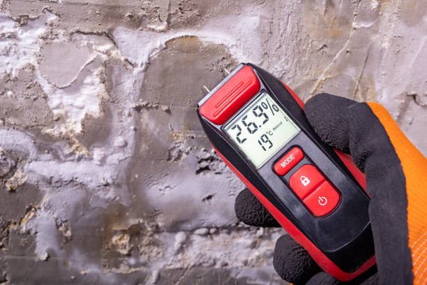 Best Crawl Space Mold Removal  in Sheridan, OR