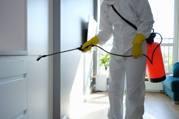 Best Mold Cleaning Services  in Sheridan, OR