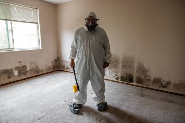 Best Professional Mold Removal  in Sheridan, OR
